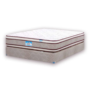 Edicion Especial 2 Pillow Olympia