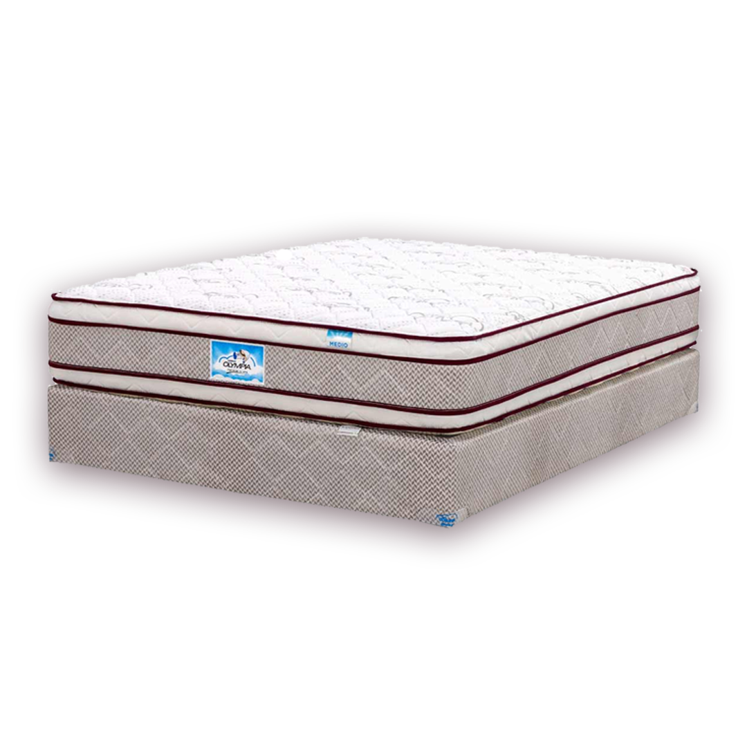 Edicion Especial 2 Pillow Olympia