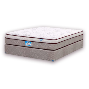 Edición Especial One Pillow Olympia