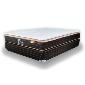 Yoga Trilple Facenco