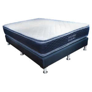 Restonic Double Rest